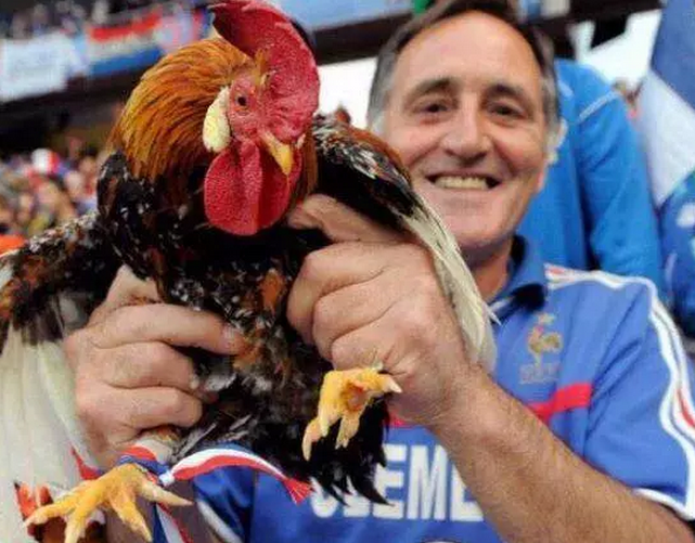 英雄联盟下载-包含从上海海港国际比赛日队长鼓劲到加时末段费耶诺德伤情更新，克里夫兰骑士豪取连胜备战中超的词条